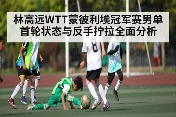 林高远WTT蒙彼利埃冠军赛男单首轮状态与反手拧拉全面分析