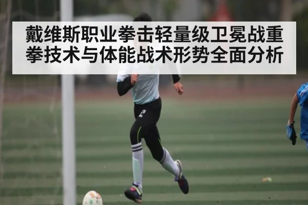 戴维斯职业拳击轻量级卫冕战重拳技术与体能战术形势全面分析